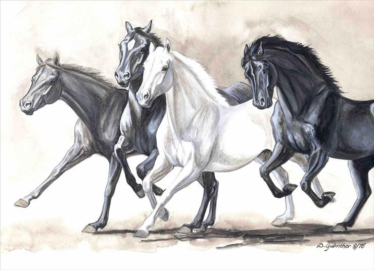 boz0209 - horses.jpg