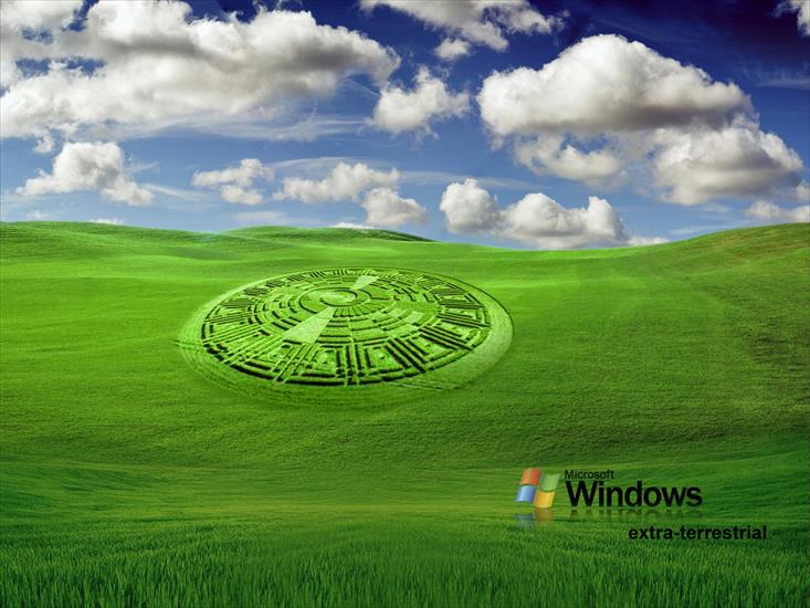 windows - windows_06_11.jpg