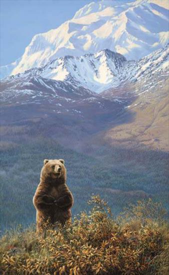 Niedzwiedzie - seereylester-highcountrychampion-grizzly-lg.jpg