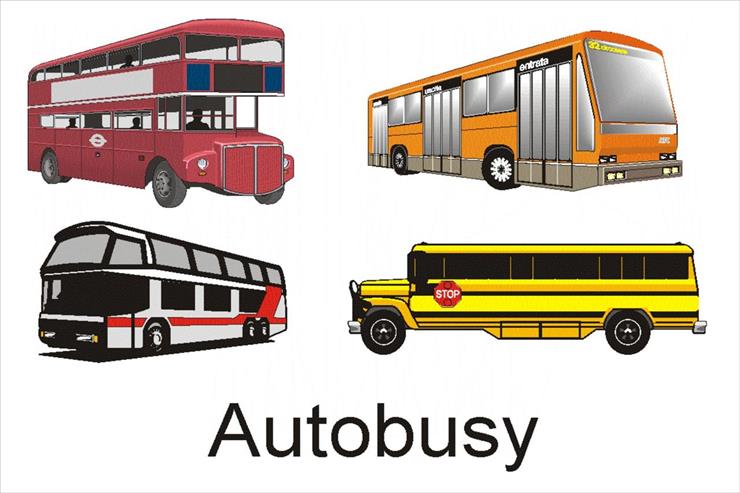 środki transportu - lądowy - autobusy.jpg
