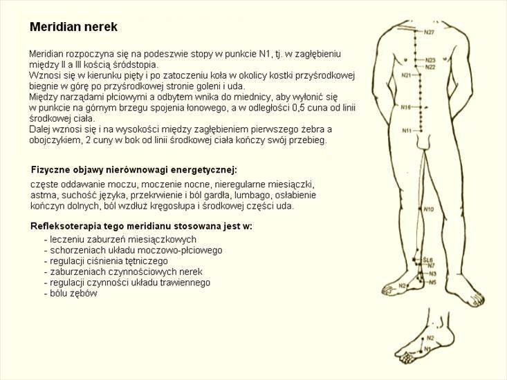Terapie manualne - Meridian nerek.jpg