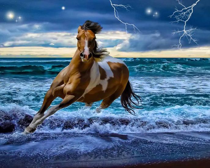 Tapety konie - South-Wind-On-Thunder-Day.jpg
