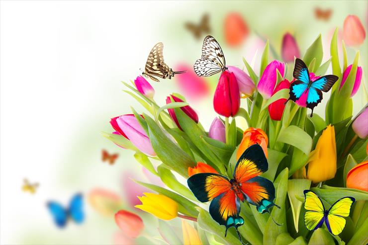 SPRING - tributo-a-la-primavera-con-flores-y-mariposas-de-colores.jpg