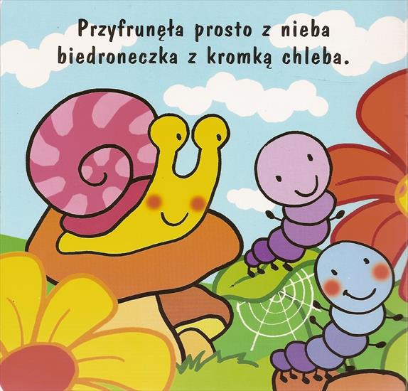 Biedroneczka - biedronka 2.jpg