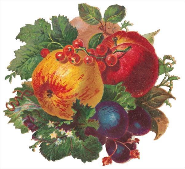   Fruits and Flowers ze starych pocztówek - 199.TIF