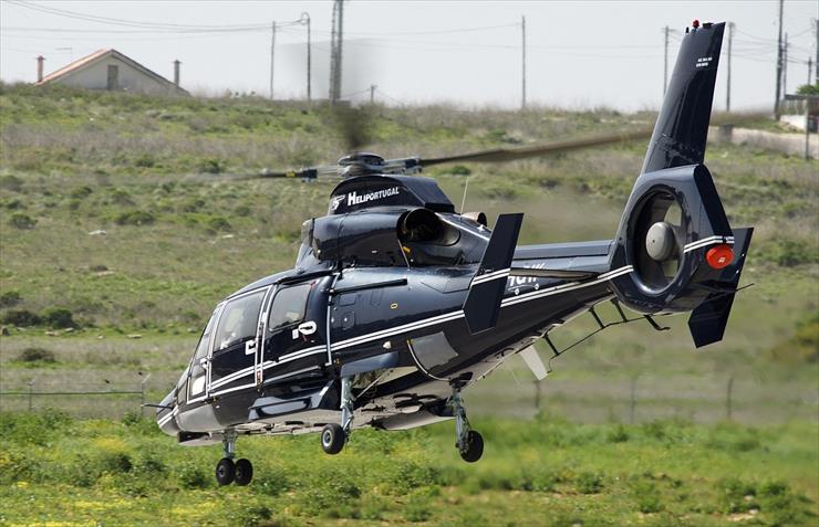 Eurocopter AS-365N-3 Dauphin cz.1 - Eurocopter AS-365N-3 Dauphin 73.jpg