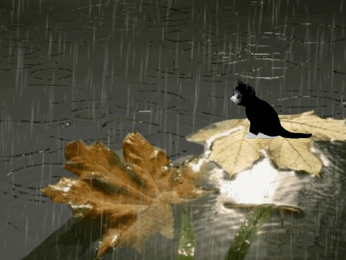 deszczowo - liście i kot.gif
