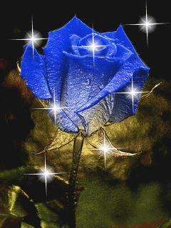 Niebieskie-Róże - 0519.gif