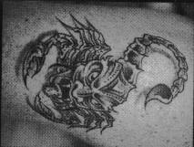 tatoo - Scorpion with face C13.JPG