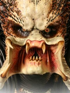 gelson1 - Predator no mask.jpg