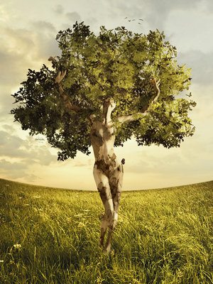 Ciekawe drzewa - Nature_Alive_by_Valexina.jpg