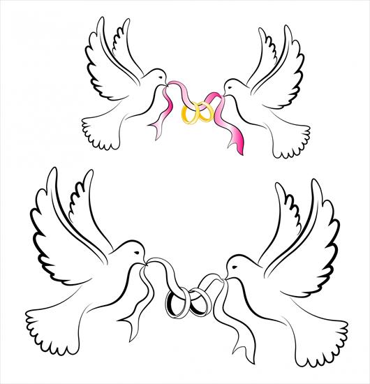 corel - White_Wedding_Doves_with_Rings.jpg