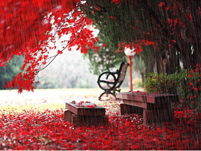 HALO JESIEŃ - November-Rain-rain-autumn-leaves-fall-gif-november-rainy-day.gif
