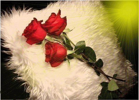 kwiaty   róże - Re_7.gif